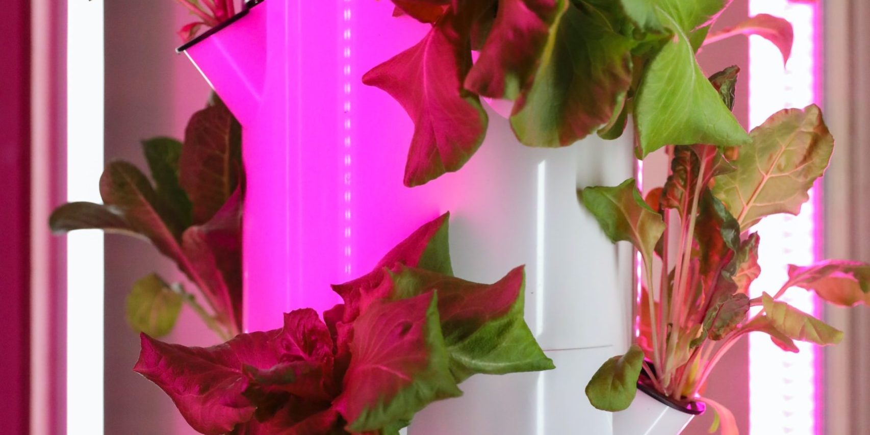 pemanfaatan pipa paralon