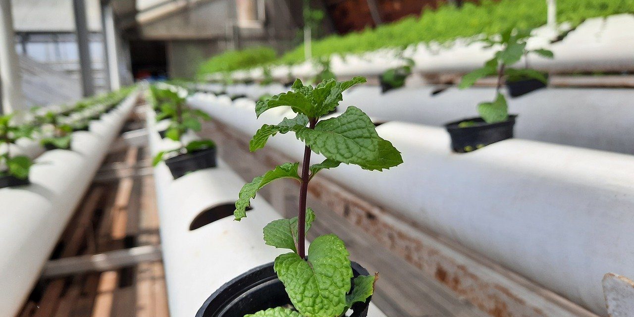 Tips Pemanfaatan Limbah Pipa Plastik Langkah Tepat dan Ramah Lingkungan Tips Pemanfaatan Limbah Pipa Plastik Langkah Tepat dan Ramah Lingkungan