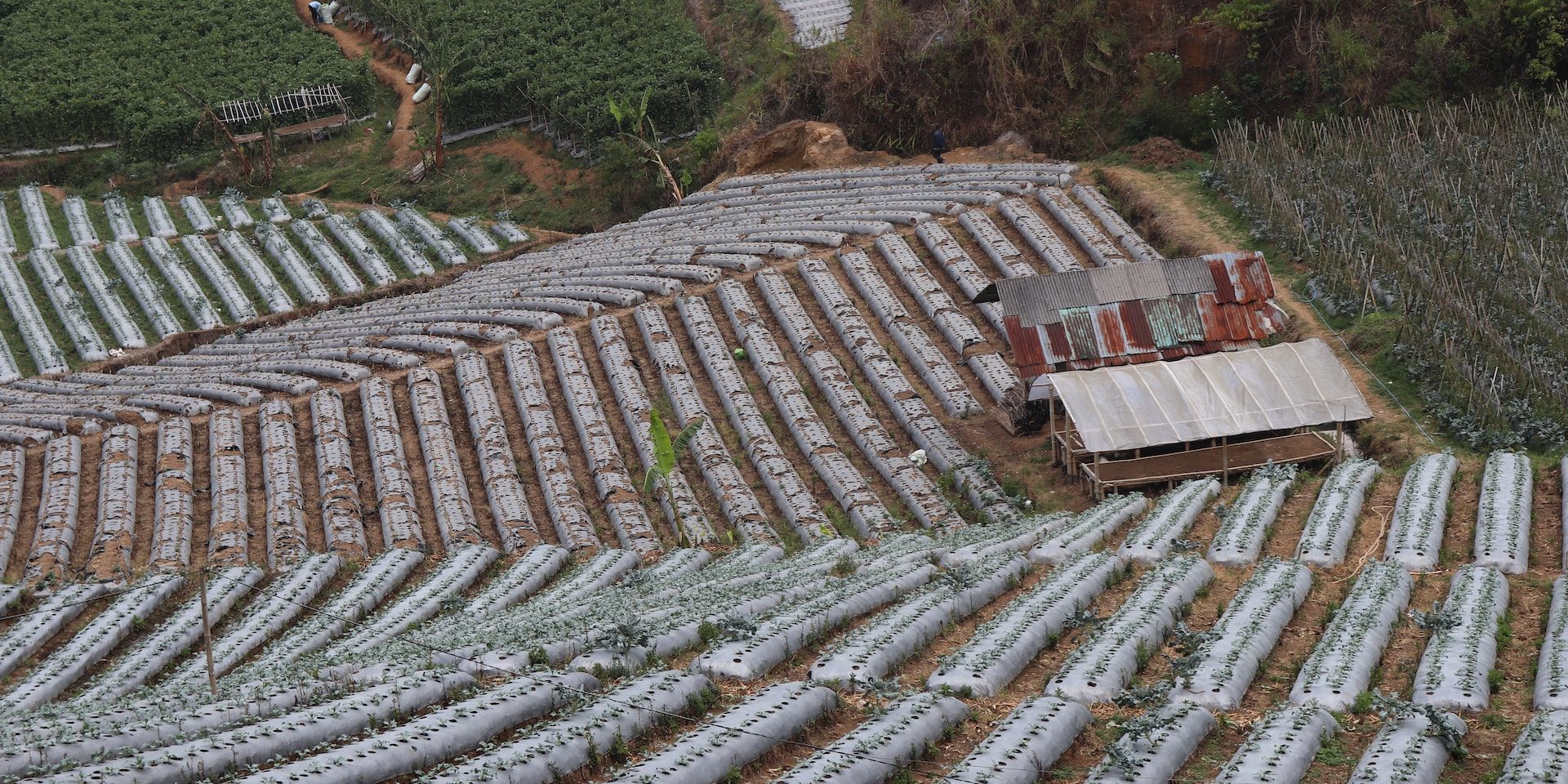 peranan pipa irigasi