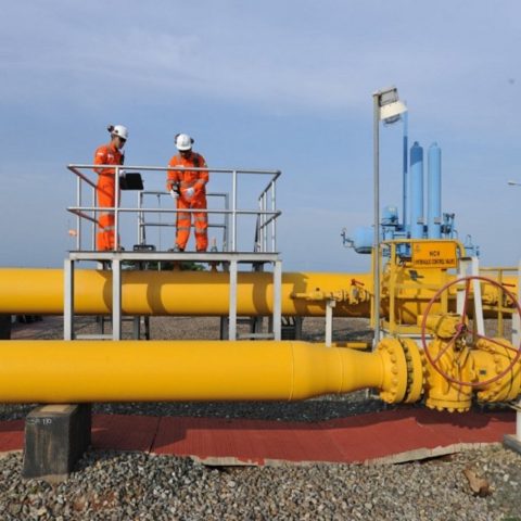 logo untuk truck (24)